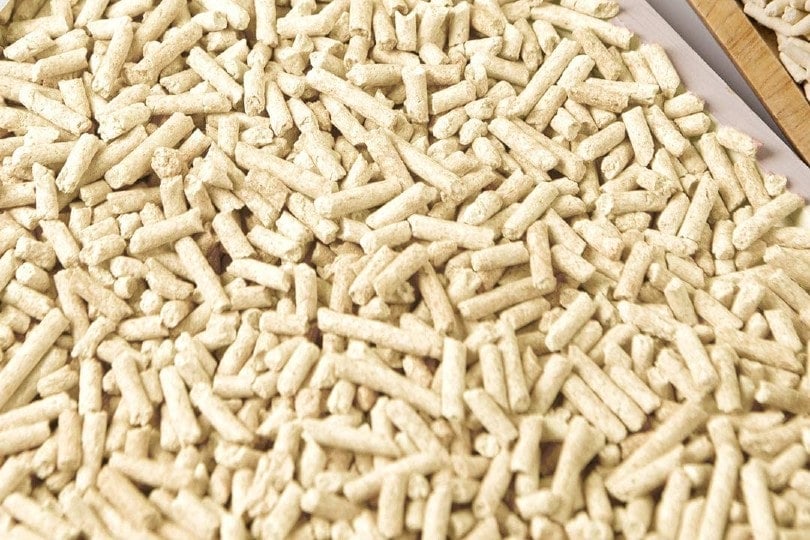 tofu cat litter