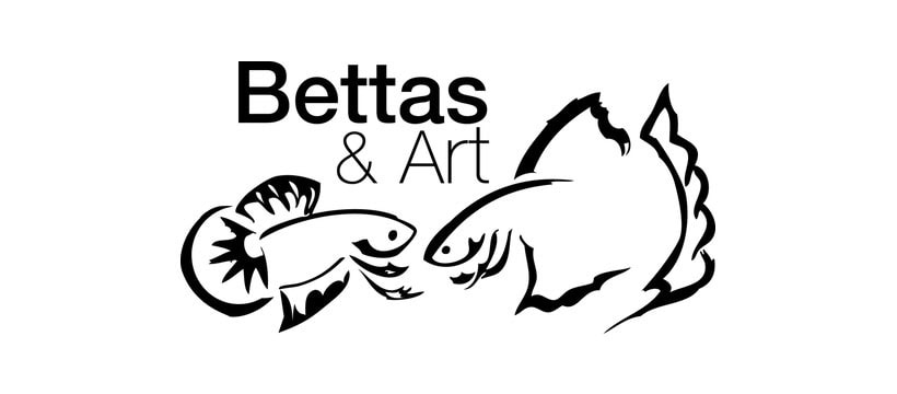 Bettas and Art 