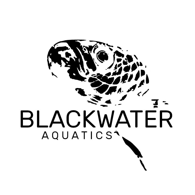 Blackwater Aquatics 