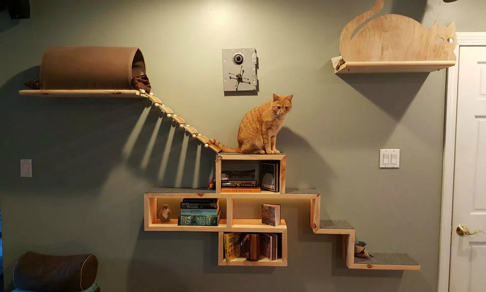 Cat Tree? No! Cat Wall- Instructables