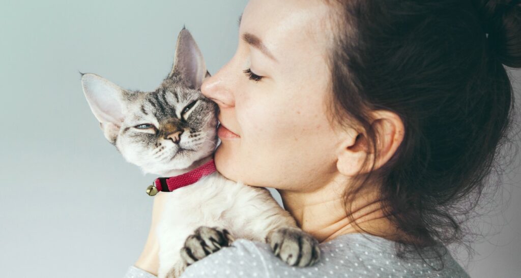 Cat with hepper collar in girl's arms_Magenta