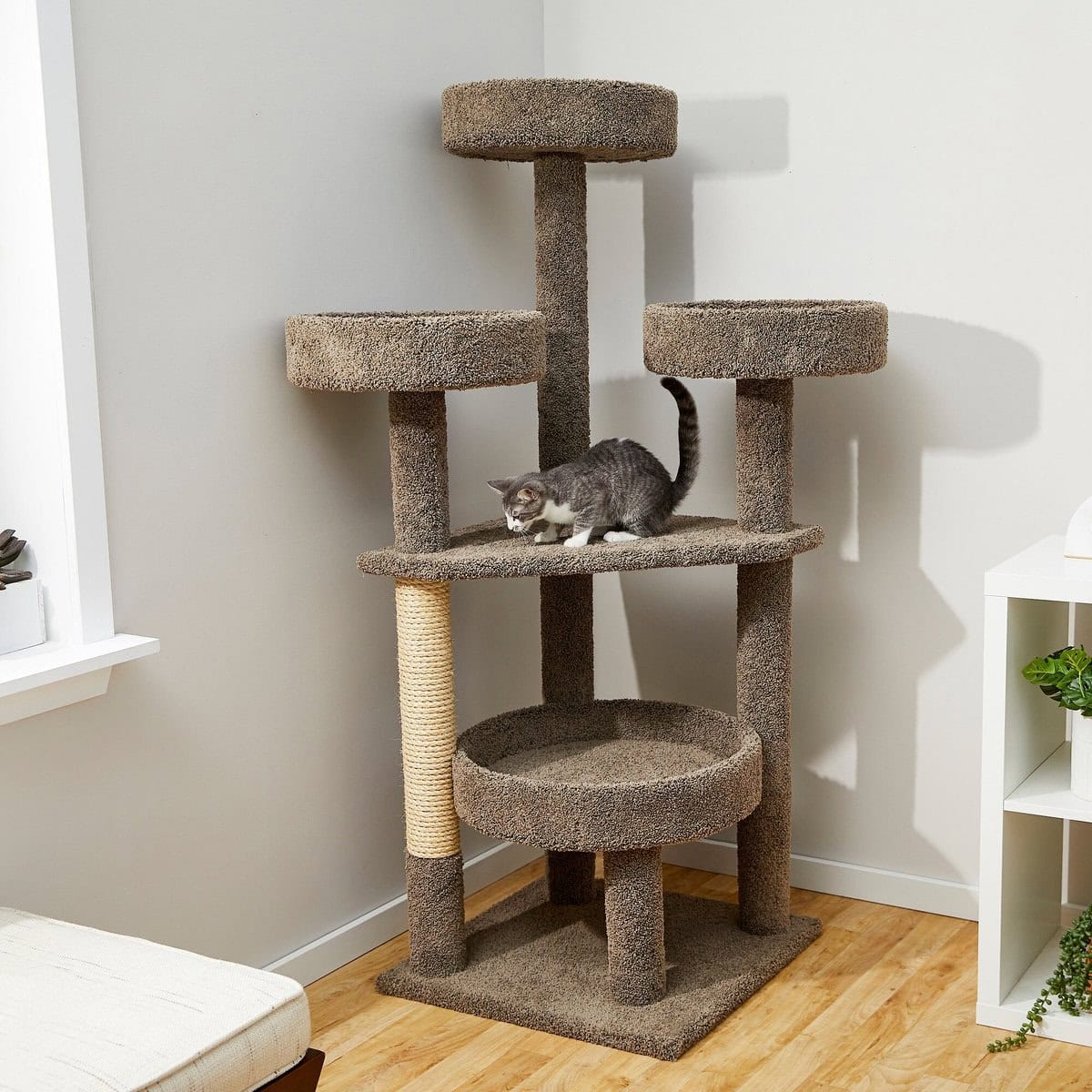 Frisco Real Carpet Wooden Cat Tree & Condo