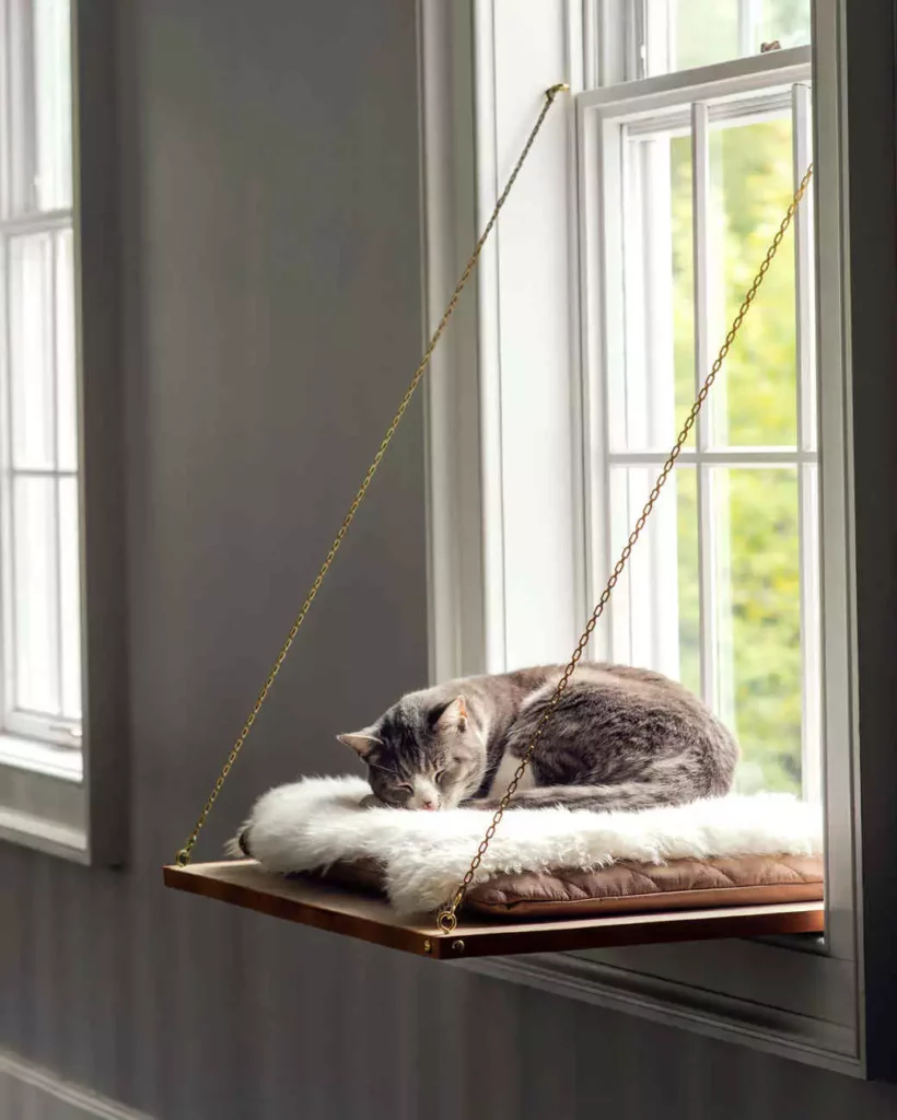 Hanging Shelf- Martha Stewart