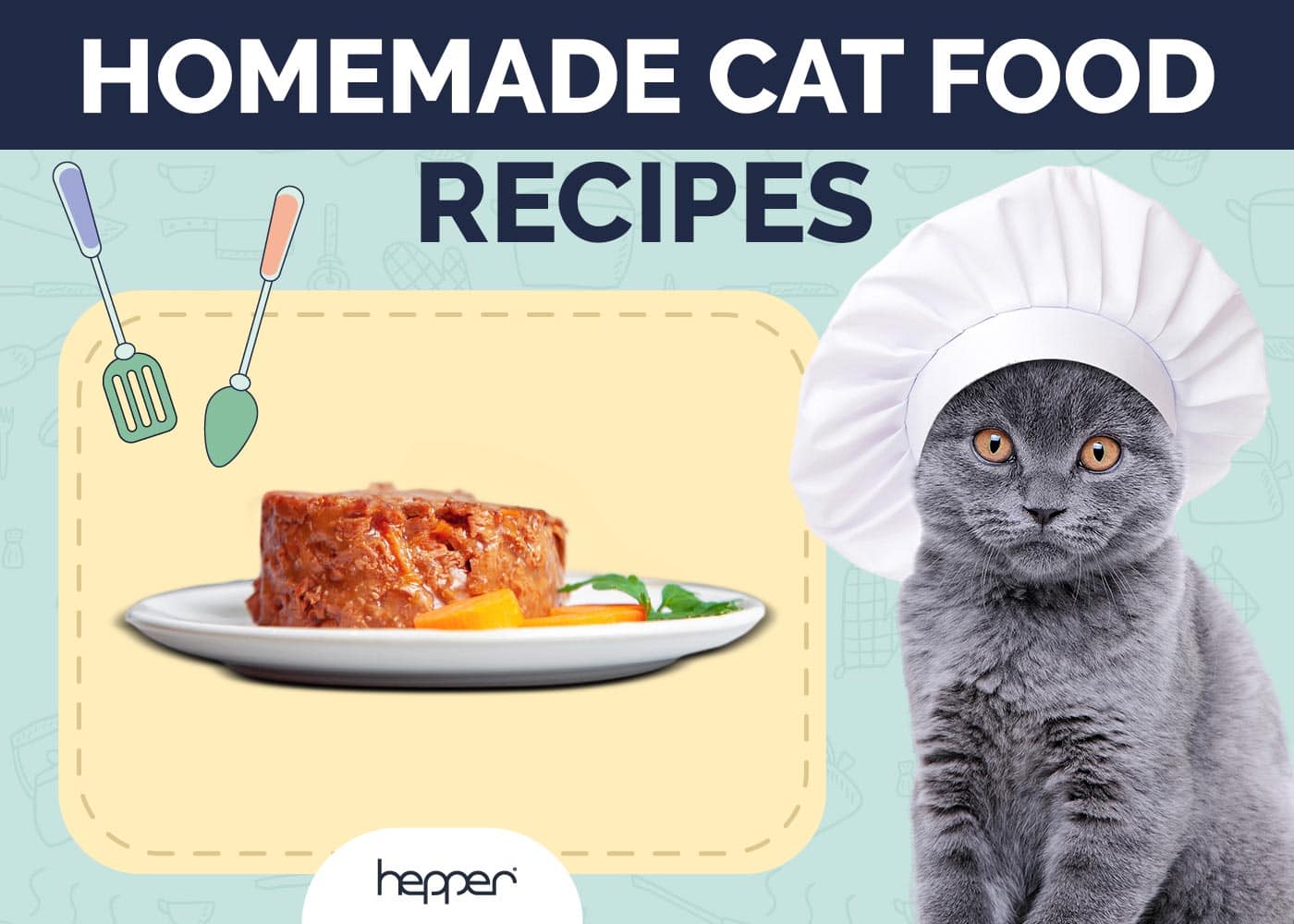 Homemade Cat Food Recipes