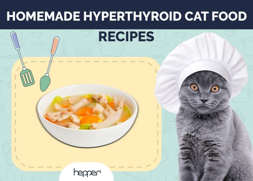Homemade Hyperthyroid Cat Food Recipes