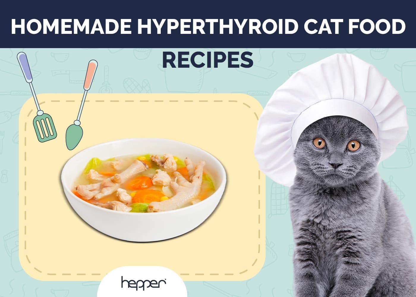 Homemade Hyperthyroid Cat Food Recipes