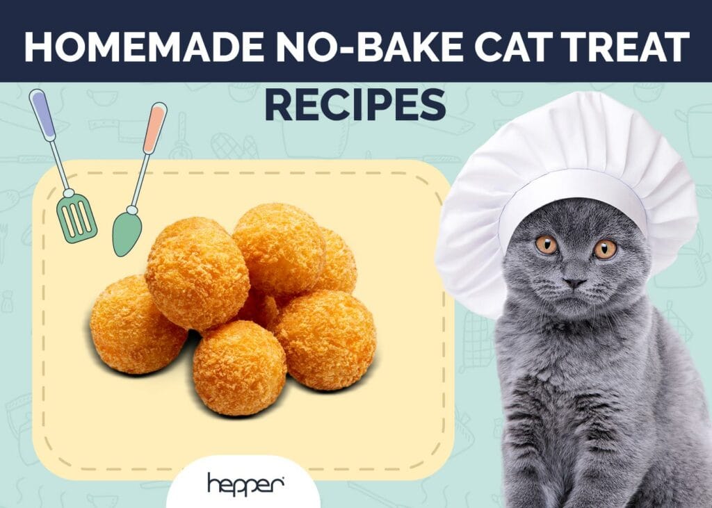 Homemade No-Bake Cat Treat Recipes