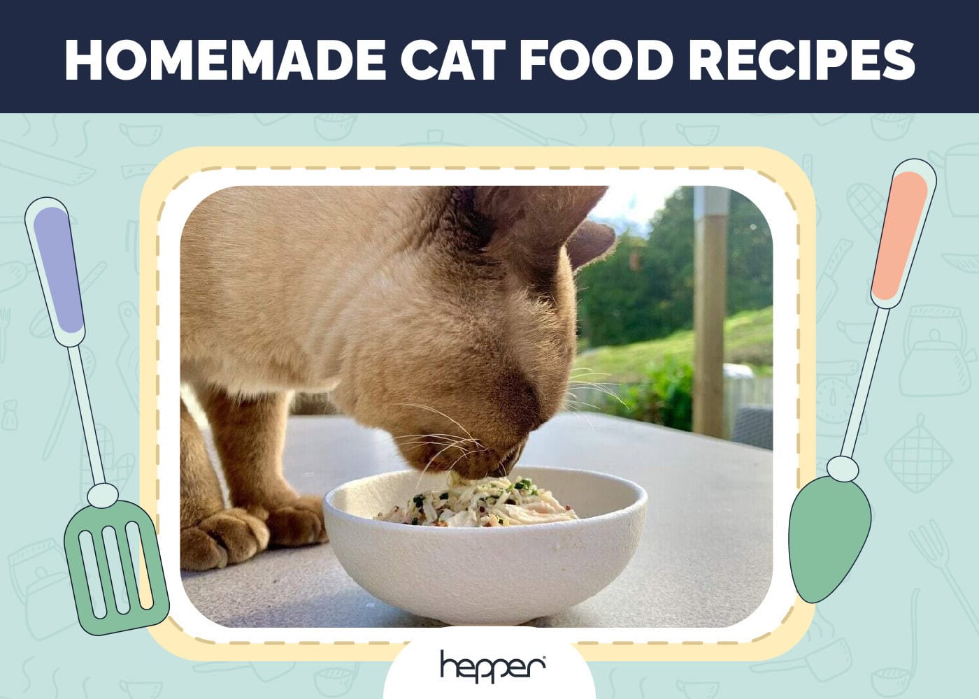 Hepper Cat Homemade Cat Food Recipes Featured Image