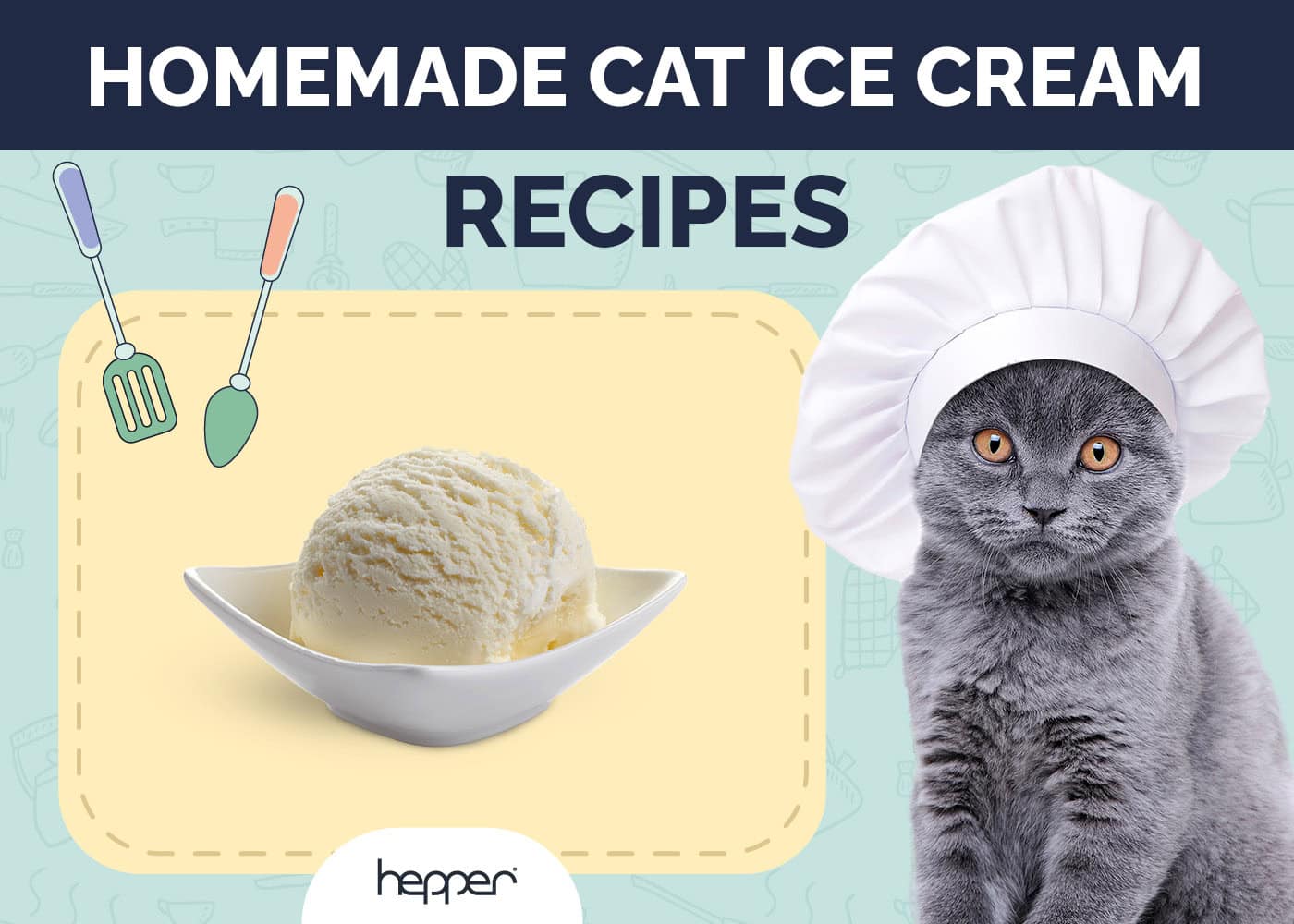 Homemade Cat Ice Cream Recipes