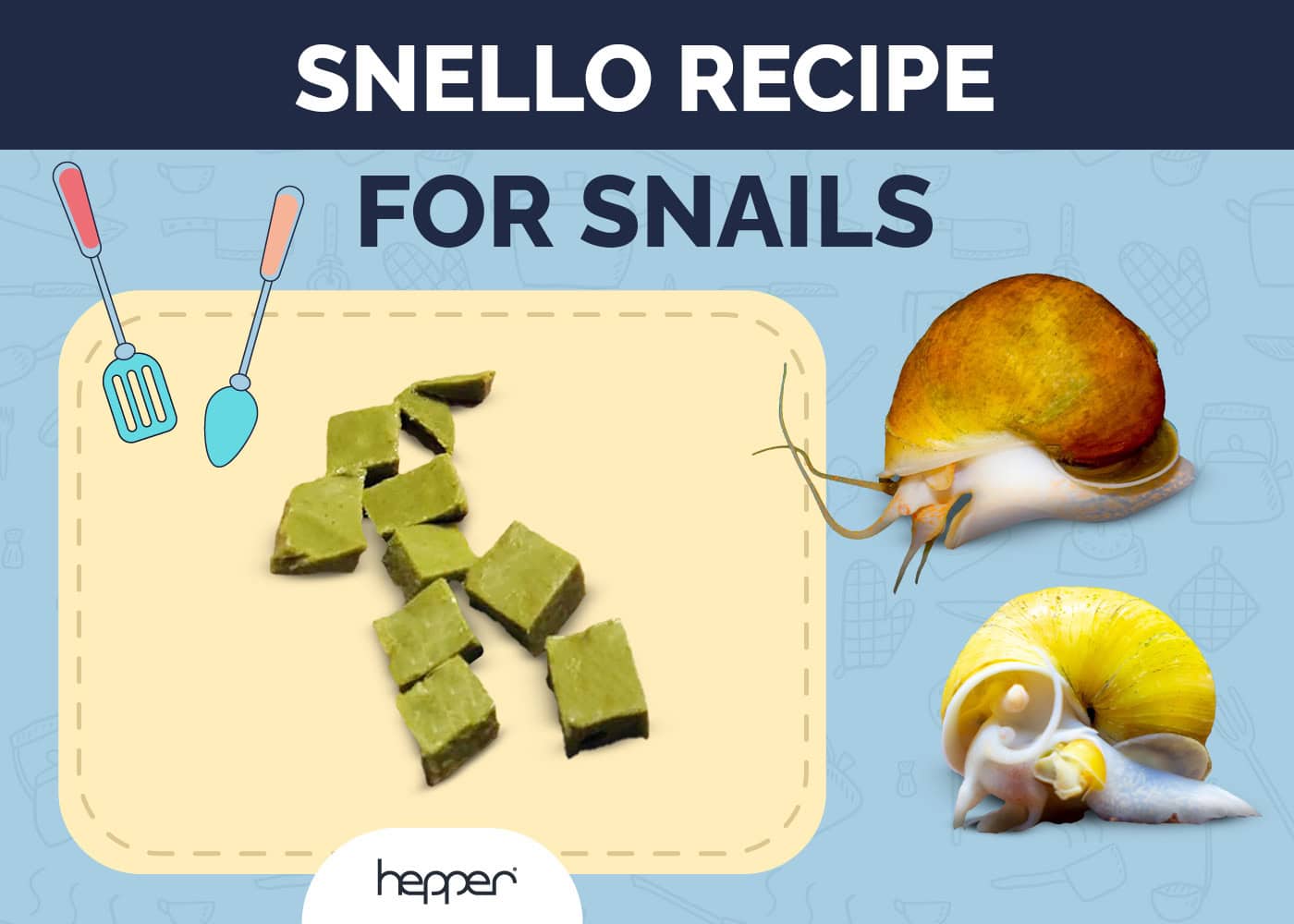 Snello Recipe for Healthy Snail Shells & Breeding