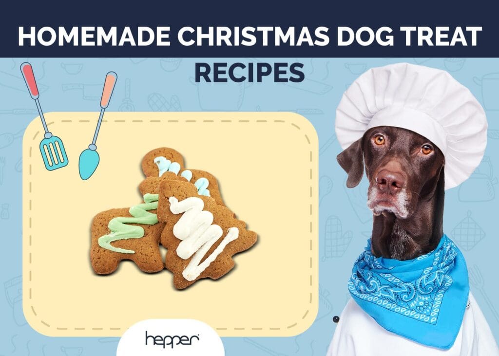 Christmas Dog Treat Recipes