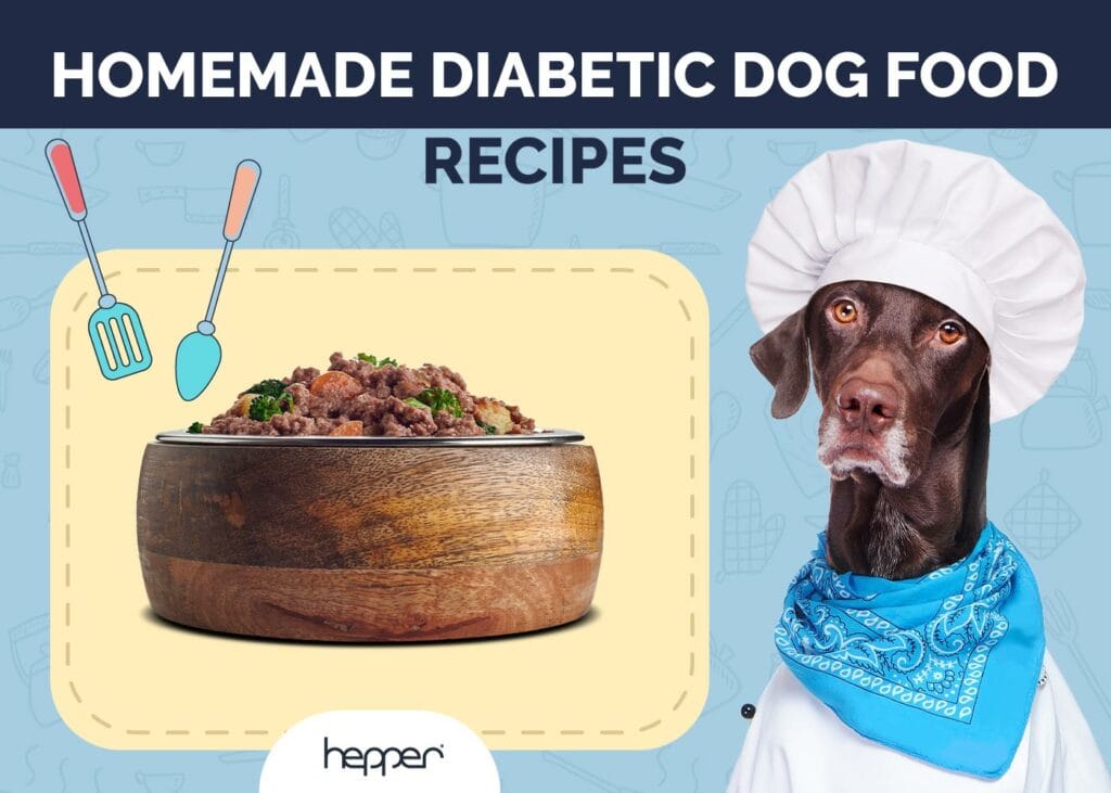 Homemade Diabetic Dog Food Recipes