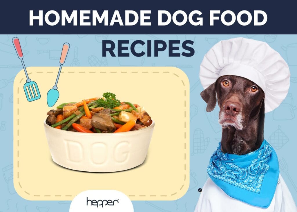 Homemade Dog Food Recipes