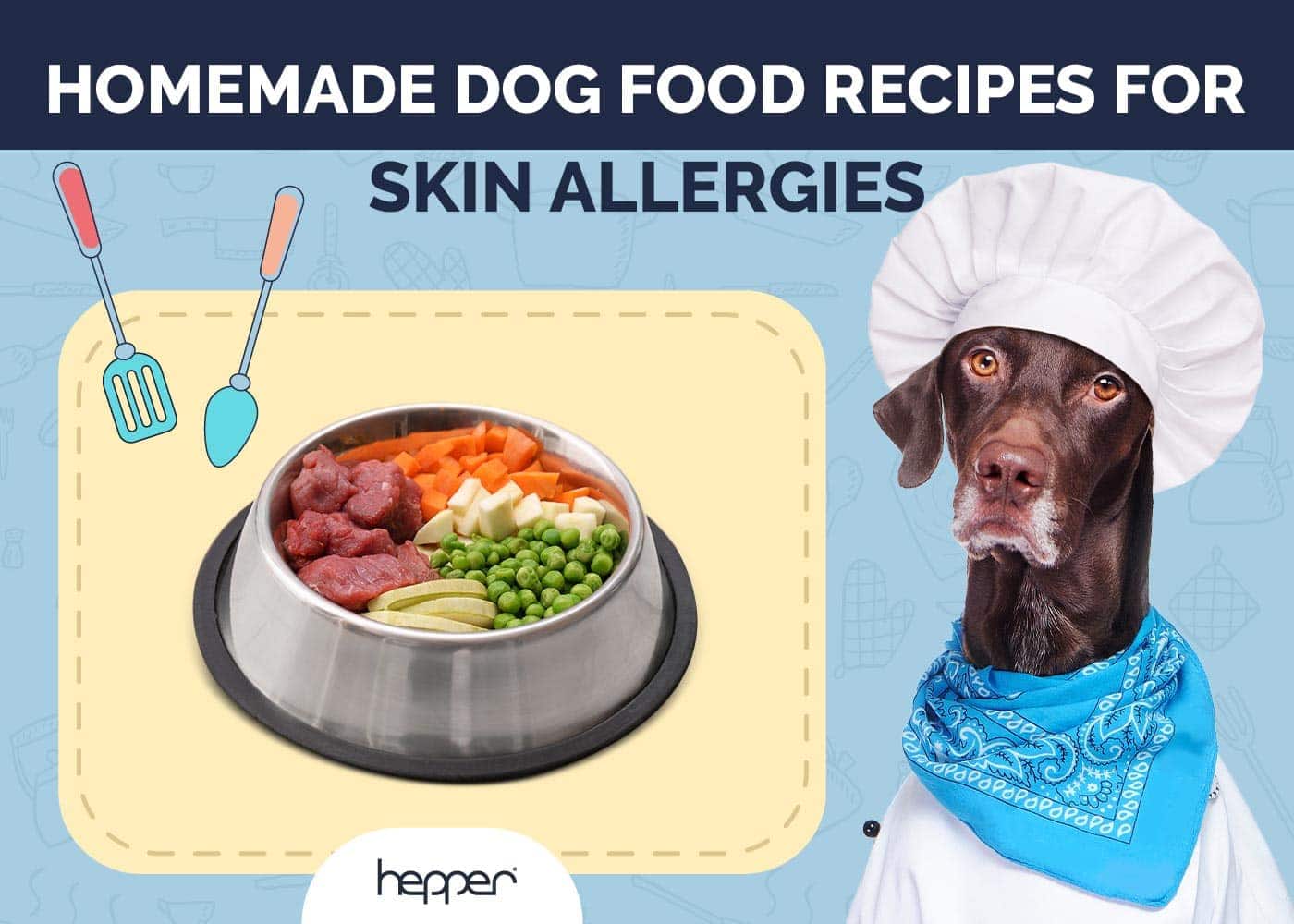 Dog Food Recipes for Skin Allergies