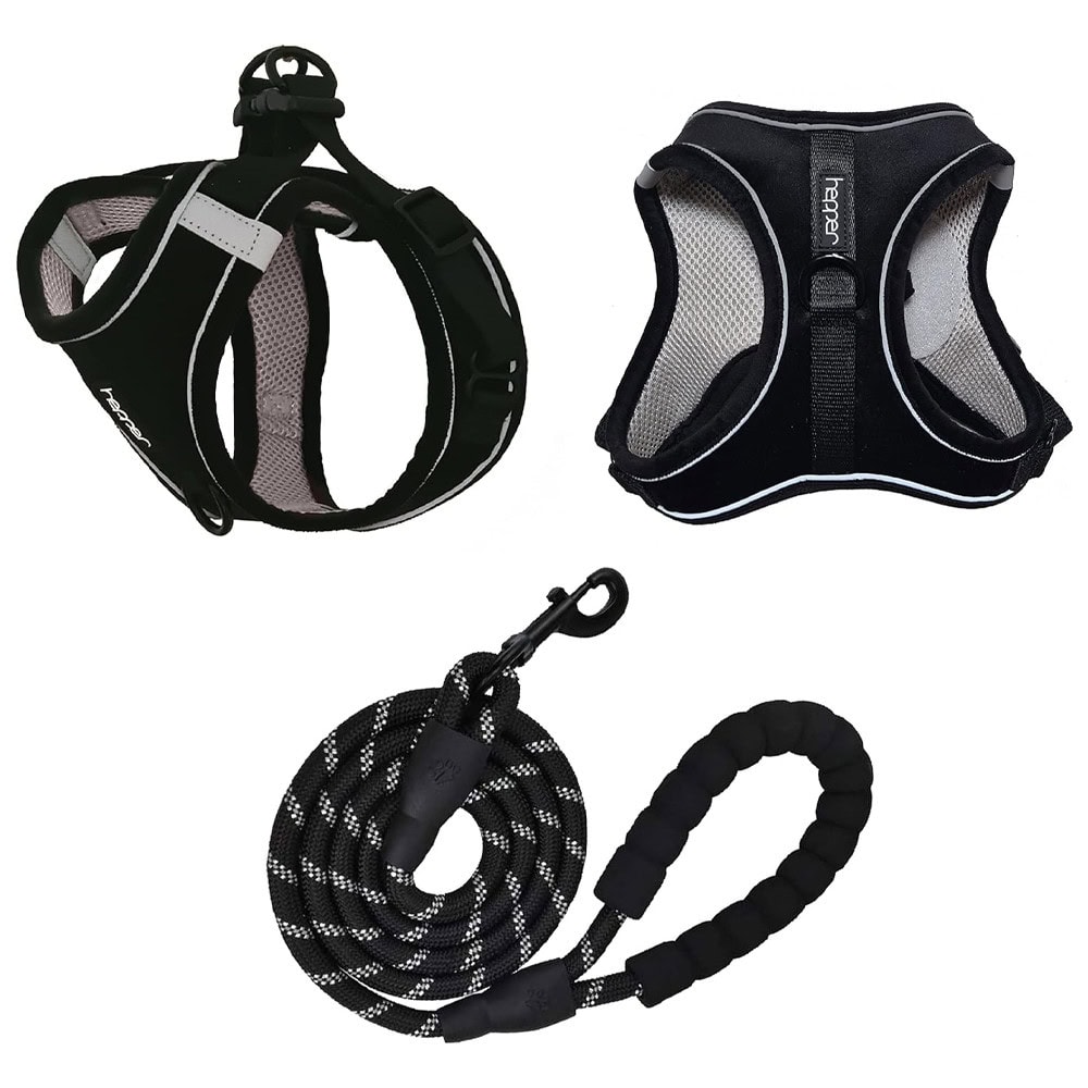 Hepper Harness and Leash Set 