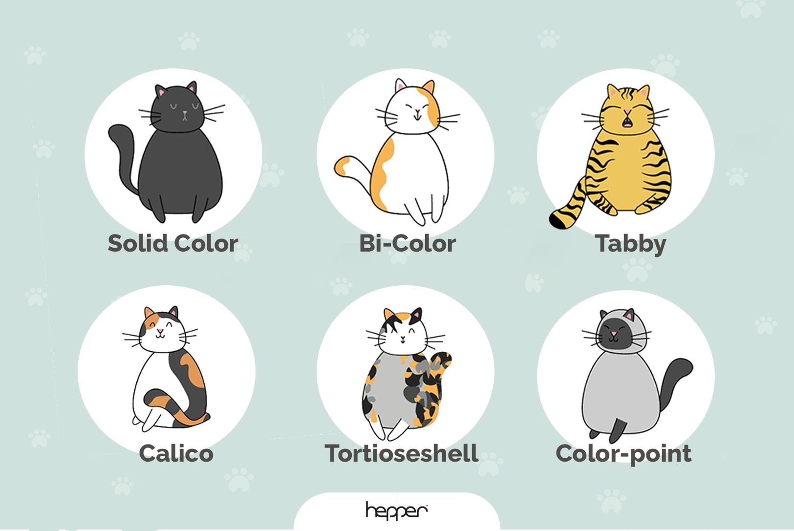 Hepper cat fur colors