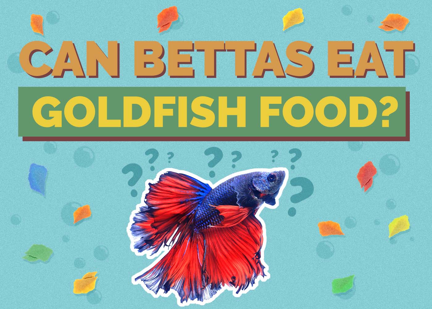 Hepper_Can Bettas Eat_Goldfish Food