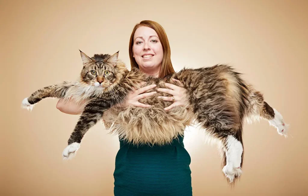 Longest-cat-living-Ludo
