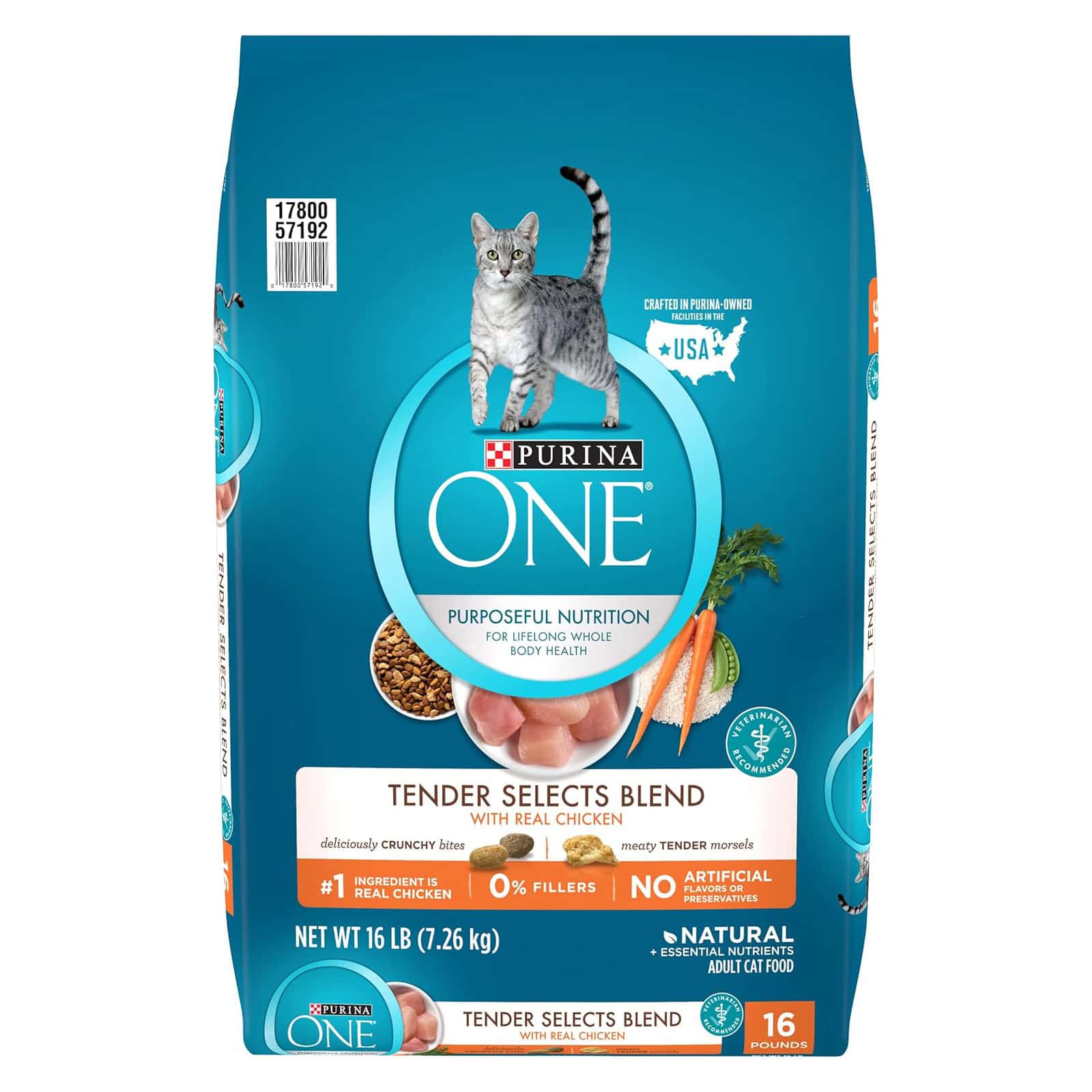 Purina ONE Tender Chicken Dry Cat Food