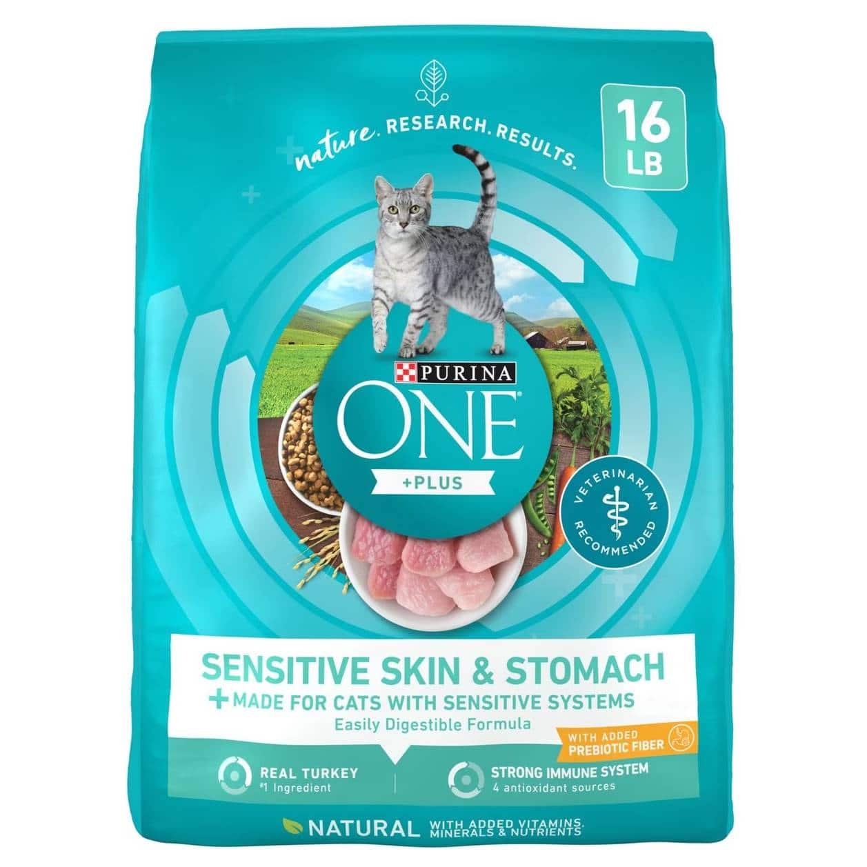 Purina ONE Sensitive Skin & Stomach Dry Cat Food