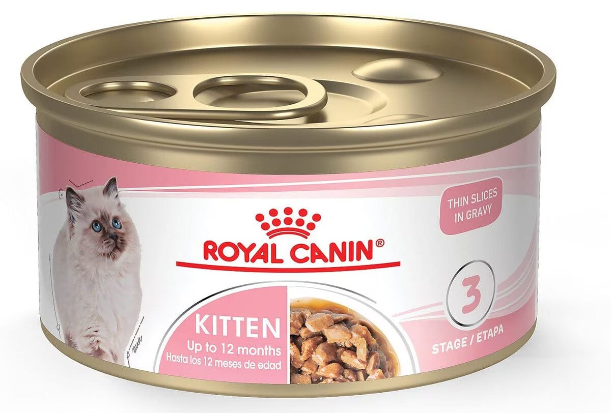 Royal Canin Feline Health Nutrition Canned Kitten Food