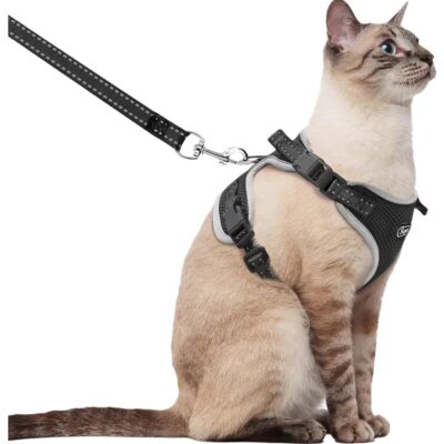 Supet Cat Harness & Leash Set