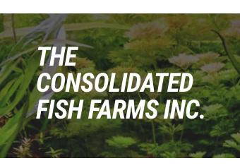 The Consolidated Fish Farms Inc