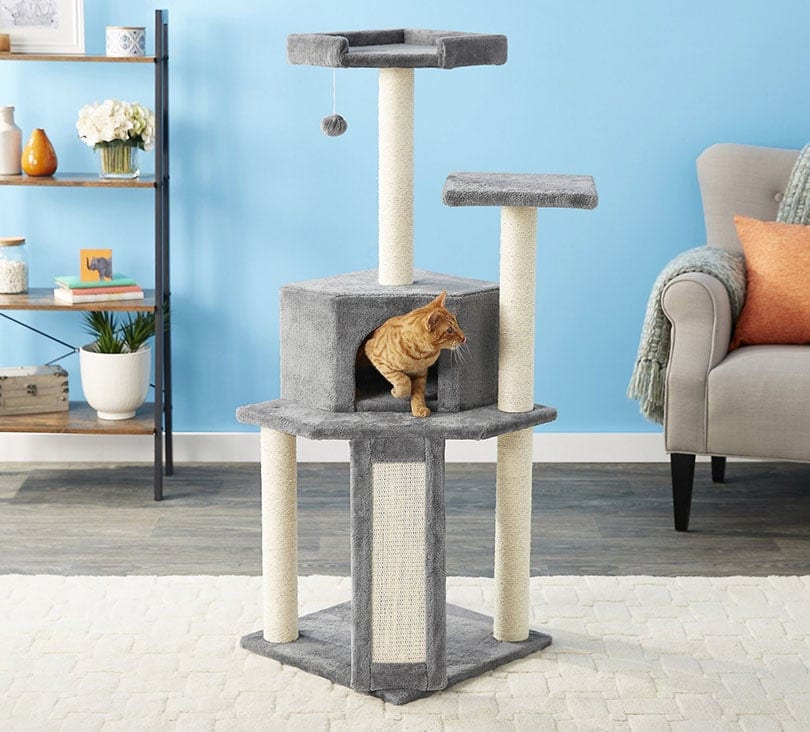 a tabby cat in a cat condo