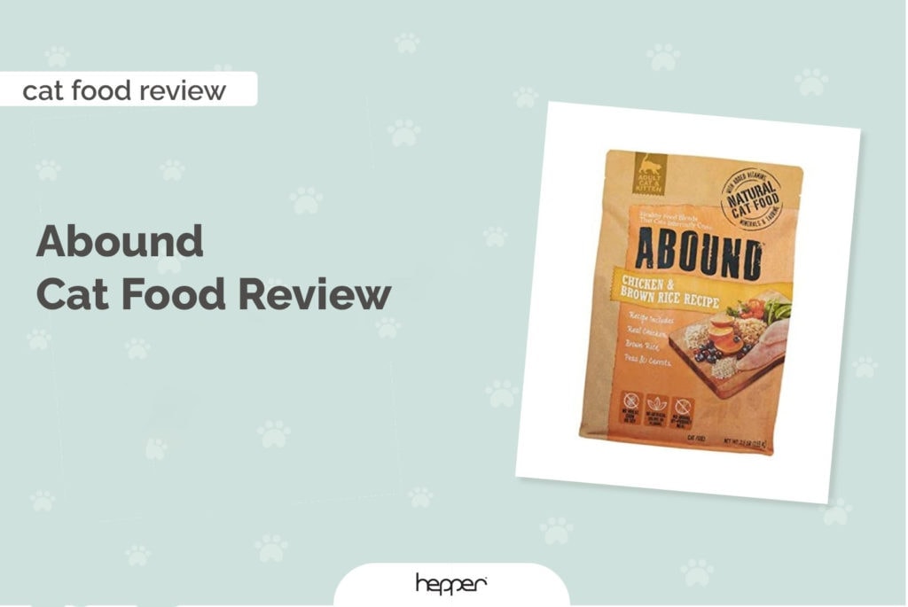 abound cat food review