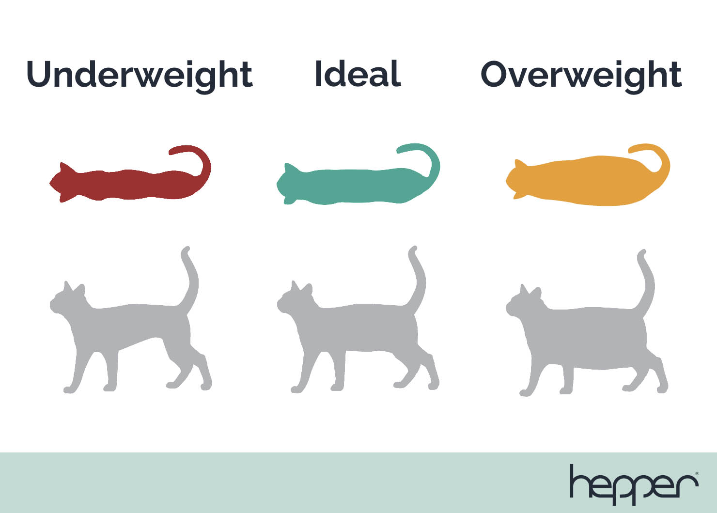 hepper weight chart