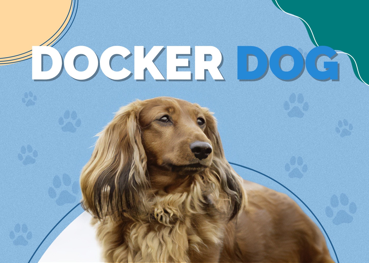 Docker Dog (Dachshund & Cocker Spaniel Mix)