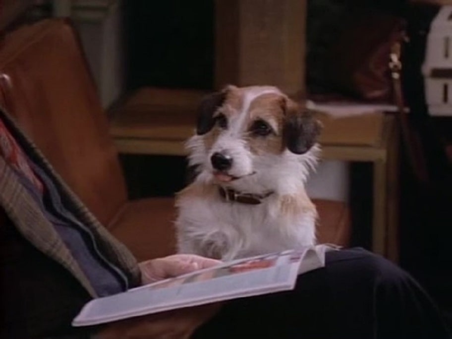 Eddie - Frasier
