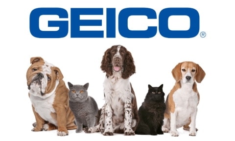 Geico pet insurance logo