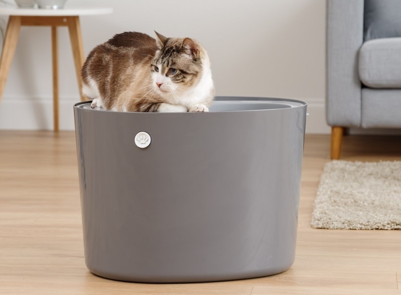 IRIS Top Entry Litter Box