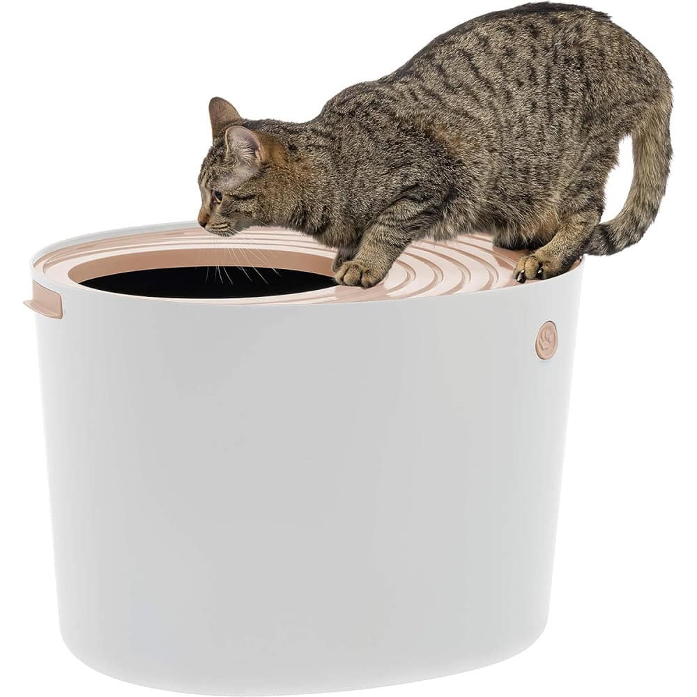 Iris Top-Entry Cat Litter Box