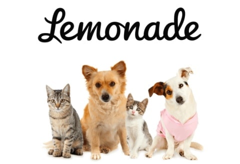Lemonade Site Logo
