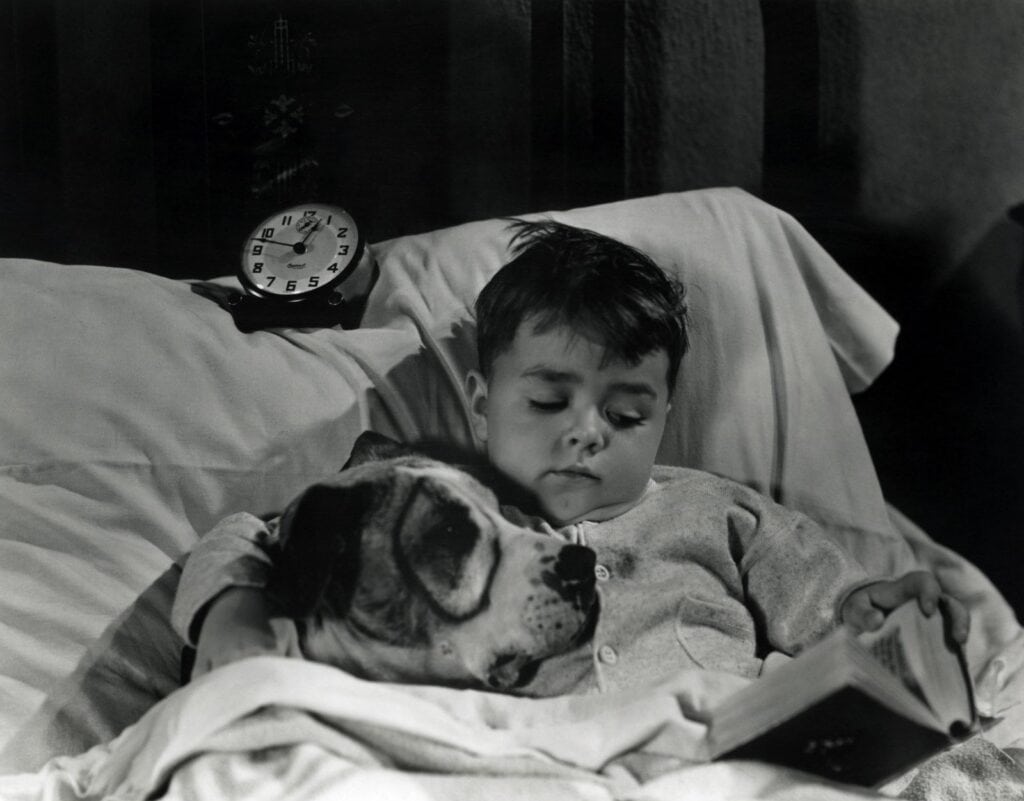 Petey the dog - little rascals