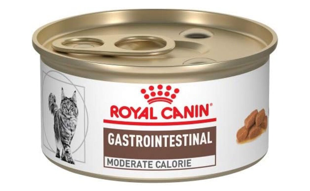 Royal Canin Vet Diet Gastrointestinal Cat Food