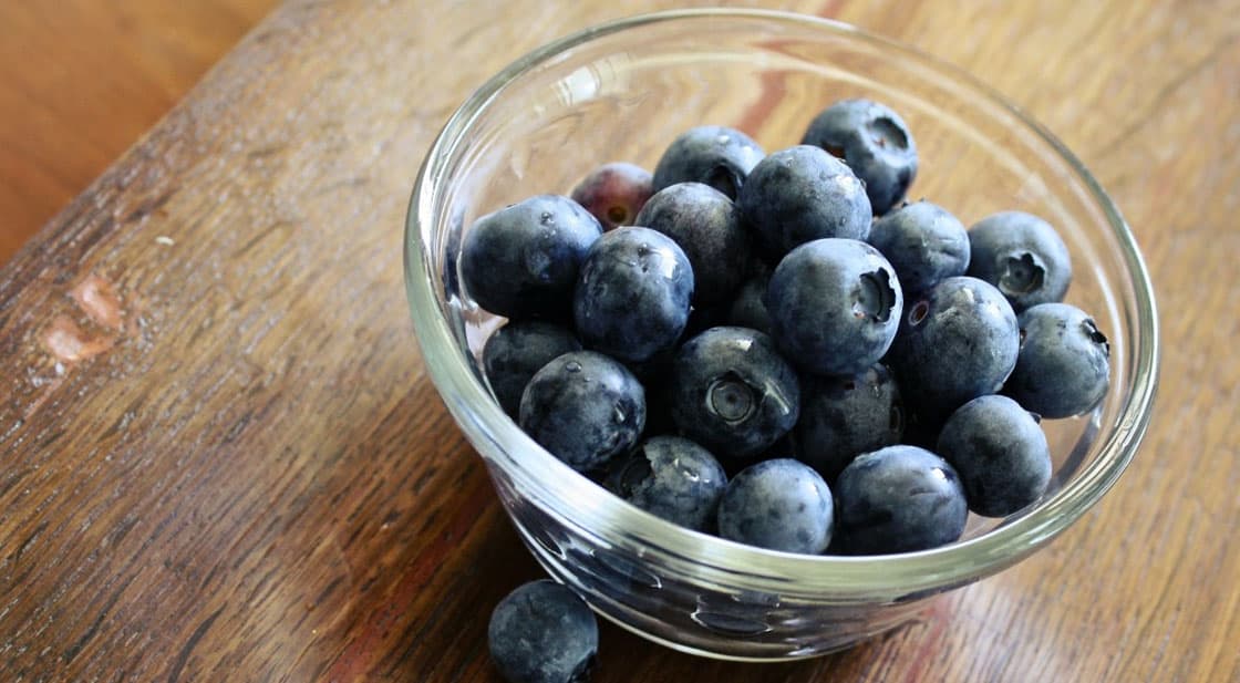 Can cats eat blueberries