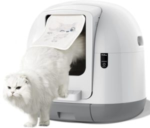 cat coming out of the Pet Daddy Self Cleaning Cat Litter Box