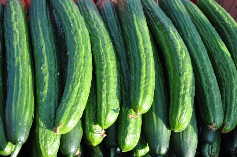 cucumbers