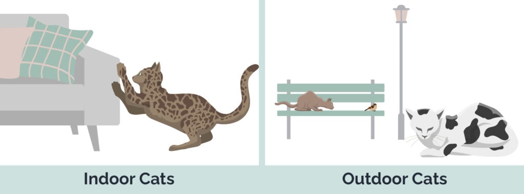 indoor-vs-outdoor-hepper