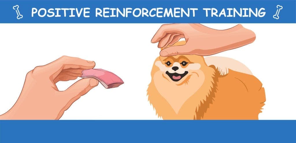 positive reinforcement infographic 3