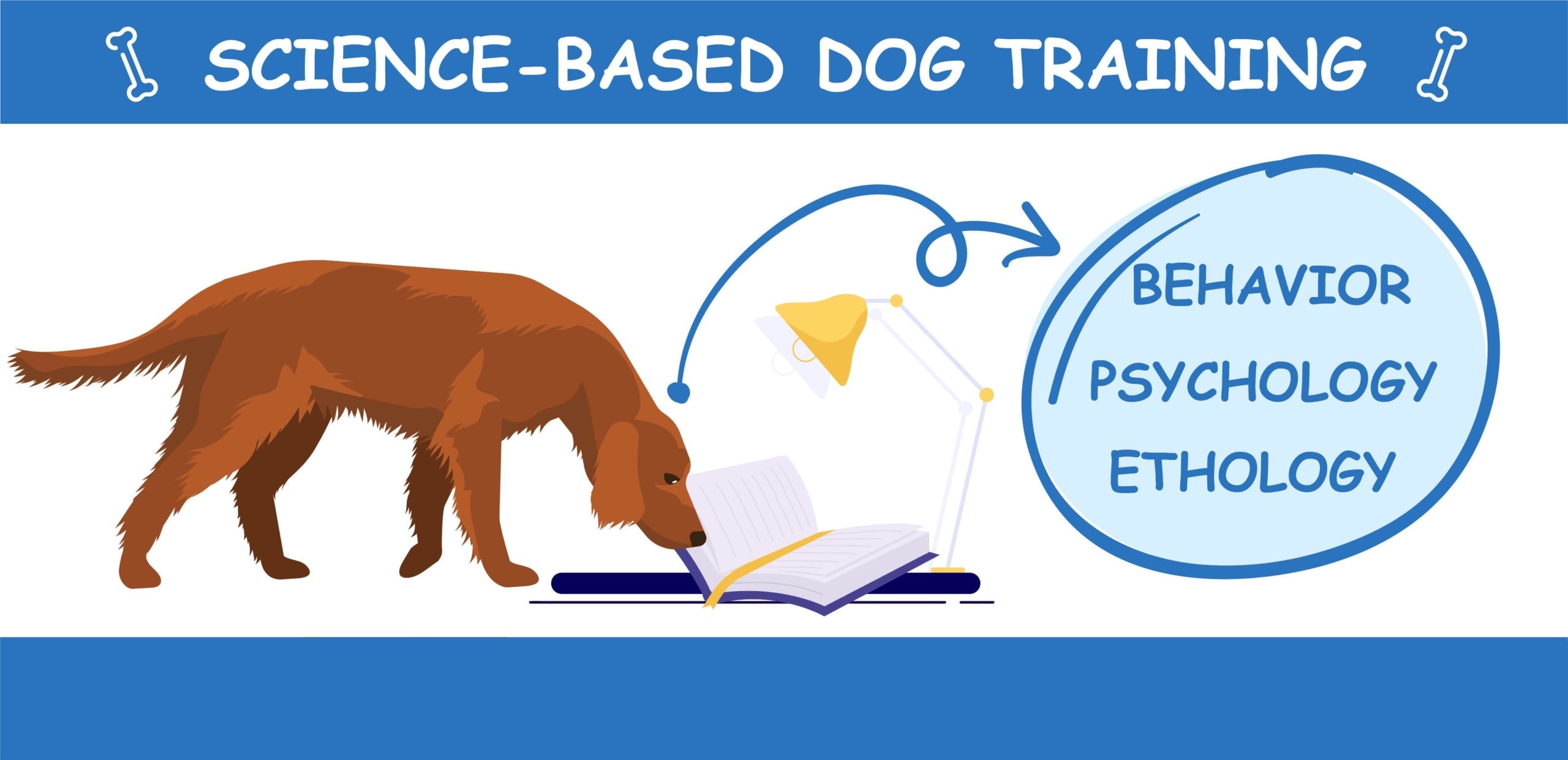 Types of Dog Training - 7 Proven Methods | Hepper Pet Resources