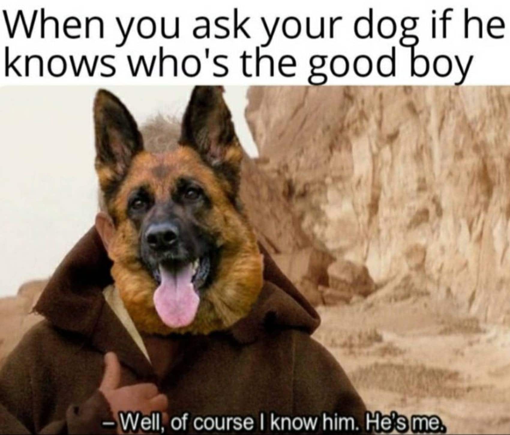 A Good Boy