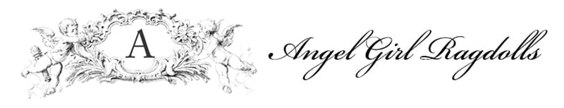 AngelGirl Ragdolls logo
