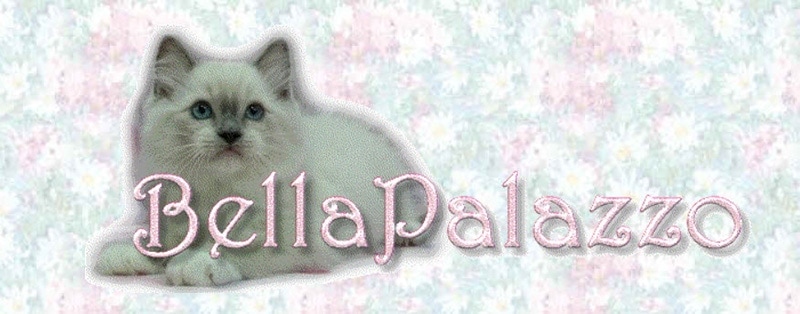 Bella Palazzo Ragdoll Cats logo