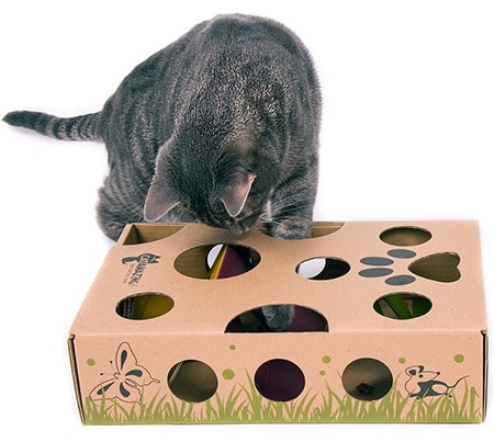 Cat Amazing Interactive Treat Maze & Puzzle Cat Toy
