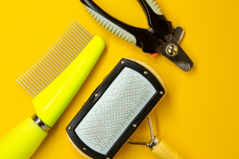Cat brushing tools