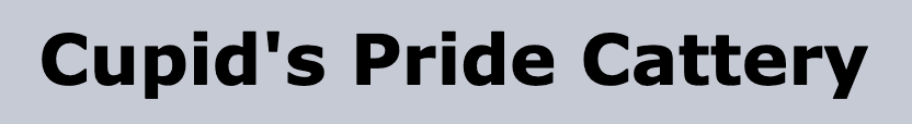 Cupid's Pride Cattery
